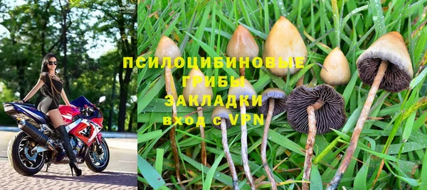 гашик Артём