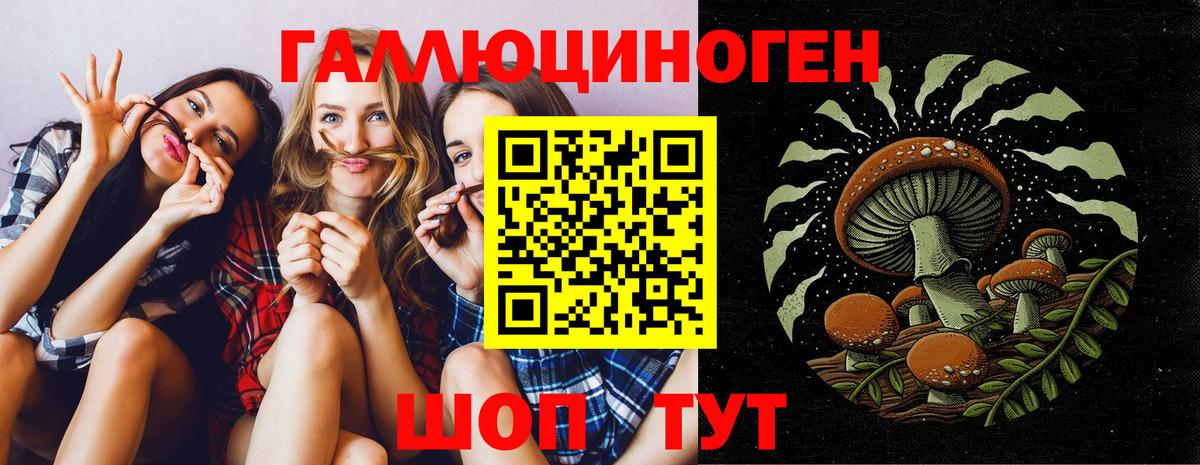 Псилоцибиновые грибы Cubensis Белогорск