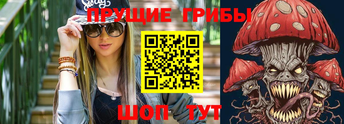 Белогорск  Псилоцибиновые грибы Psilocybe  купить  сайты  Псилоцибиновые грибы мицелий  Вход с VPN 