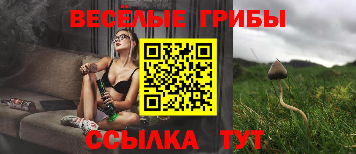 Галлюциногенные грибы GOLDEN TEACHER Белогорск